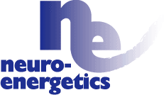 Neuro-Energetics